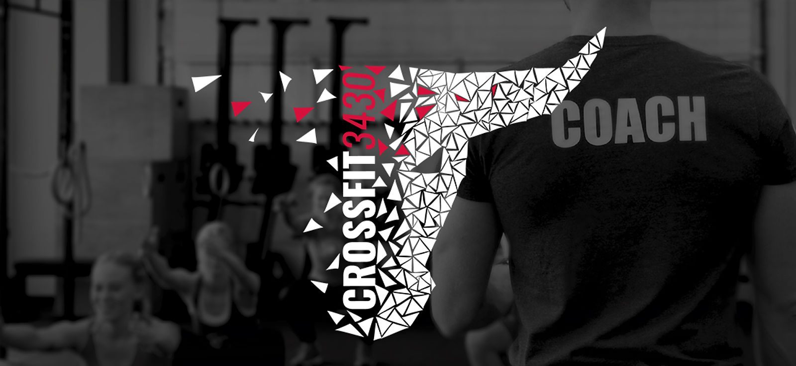lenni_crossfit_website Kopie.jpg